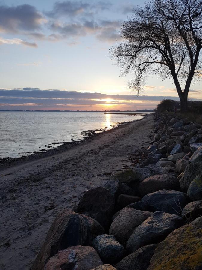 Strandappartements Steinberghaff "Kegnaes" Mit Meerblick Und Sauna Steinberg  Eksteriør bilde